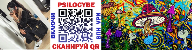 Купить где  Туран  Галлюциногенные грибы ЛСД 